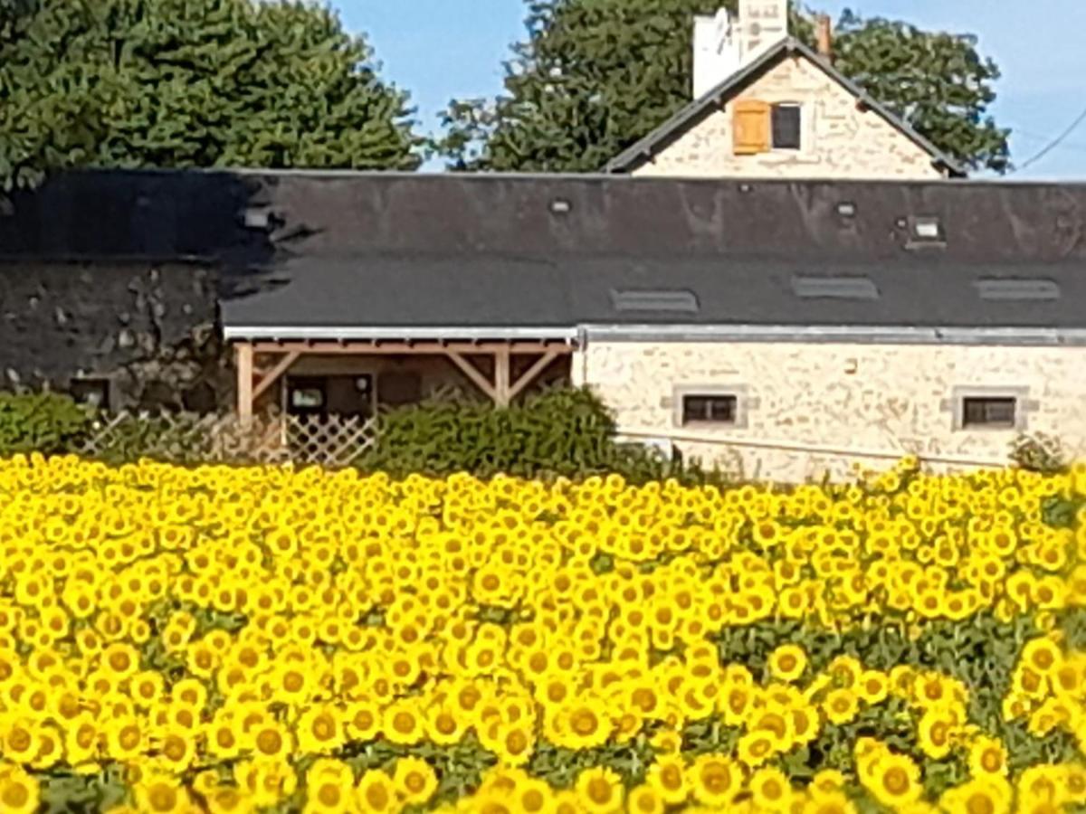 3 Self-Contained Gites With Pool And Games Room Saint-Georges-de-Noisne Luaran gambar